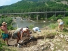 Image_003.jpg