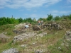 Image_006.jpg