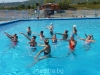 Image_006.jpg