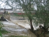Image_007.jpg