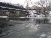 Image_006.jpg