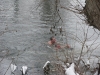 Image_008.jpg