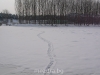 Image_005.jpg