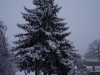 Image_003.jpg