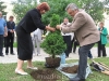Image_4.jpg