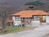 Image_1.jpg