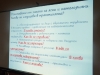 Image_001.jpg