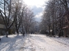 Image_008.jpg